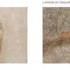sample image of Lapideus Stone Floor Tile